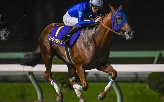 レモンポップの引退式が決定 ラストランのチャンピオンズC後に