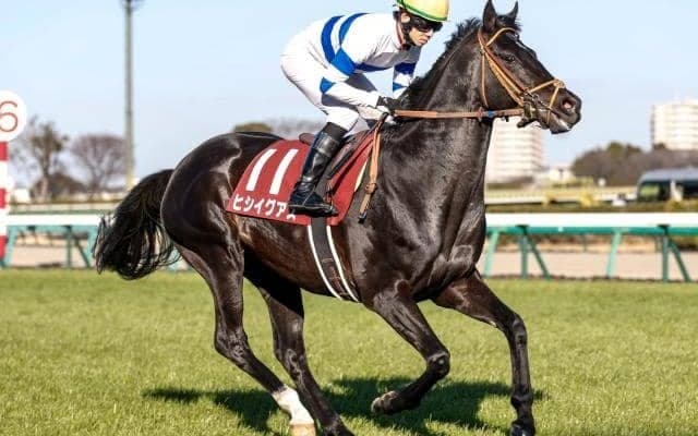 重賞3勝のヒシイグアスが登録抹消 中山競馬場で乗馬に