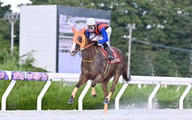 【金沢競馬】ハクサンアマゾネスが引退…中日杯でラストラン