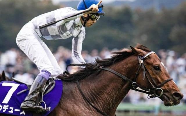 海外からも強豪参戦のジャパンCなど3重賞/今週の競馬界の見どころ