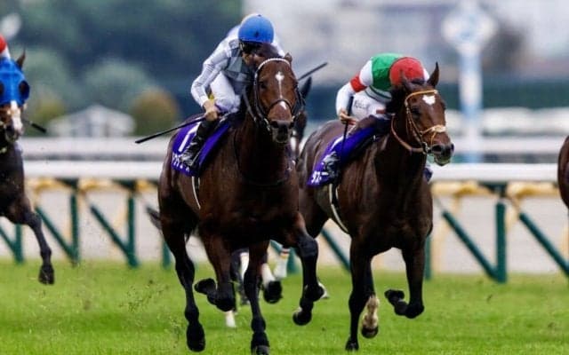 【ジャパンカップ登録馬】ドウデュースなど15頭