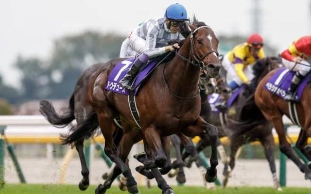 【ジャパンC見どころ】鋭い決め手を持つドウデュースが世界の実力馬を迎え撃つ