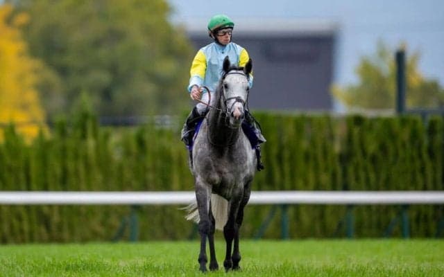 【マイルCS】ムーア「日本馬と加速が違った」レース後ジョッキーコメント