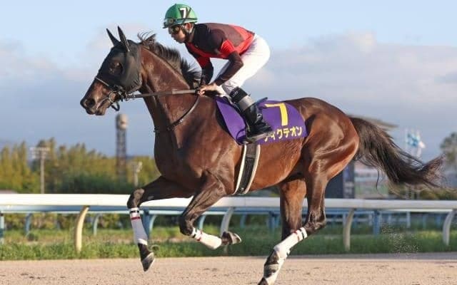 【浦和・浦和記念枠順】重賞連勝狙うディクテオンは7枠8番