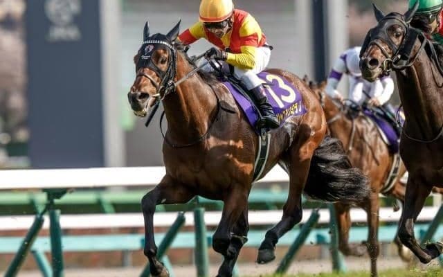【先週のJRA抹消馬】無敗の皐月賞馬ジャスティンミラノ、昨年のJBCレディスC覇者アイコンテーラーなど