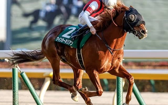 【京阪杯想定騎手】ウインカーネリアンは三浦皇成騎手、エイシンスポッターはH.ドイル騎手