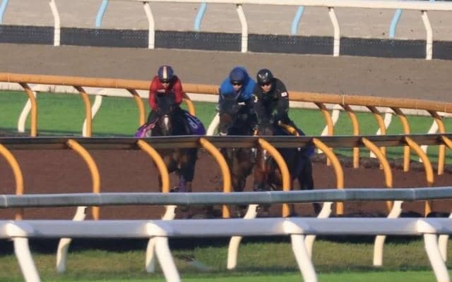 菊花賞馬アスクビクターモアの半妹 アークシャルダームが土曜京都で初陣/関西馬メイクデビュー情報