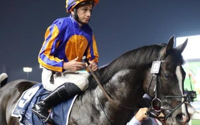 史上最長タイ記録なるか ディープインパクト産駒の14年連続JRA・GI制覇に2頭が挑む