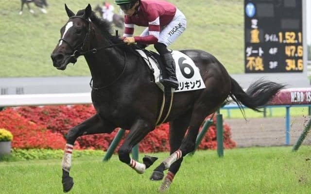 【京都2歳S展望】伝統の2歳中距離戦、持続力やスタミナが問われる