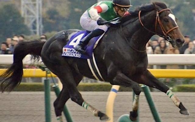 ダービー馬の父が魅せた4馬身差V 種牡馬人生を大きく変えたジャパンC制覇