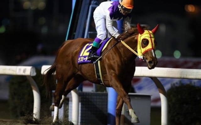 今年亡くなった笠松の名牝 「ラブミーチャン記念」を前に輝かしい蹄跡たどる