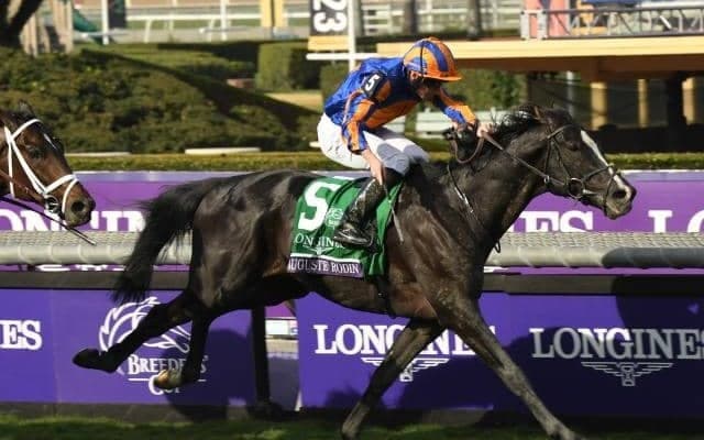 「来てくれてありがとう」 オーギュストロダンにファンから熱い思いの数々