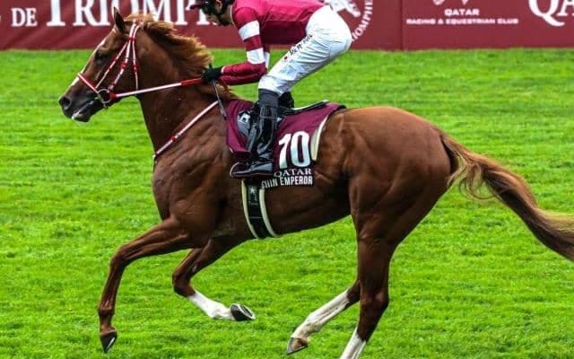 シンエンペラーにかかる意外な記録 フランス産馬が勝ったらジャパンC史上初