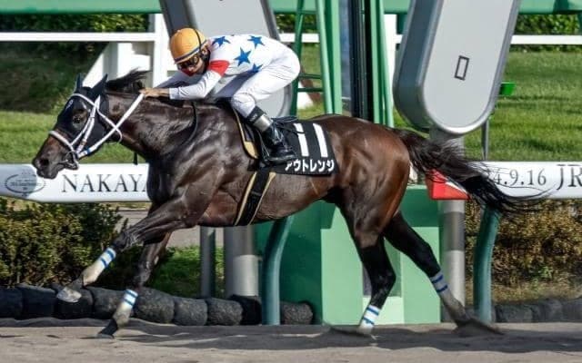 安田隆行元調教師が「浦和にピッタリ」と激押しの馬と、騎手采配に妙味!?/浦和記念注目馬