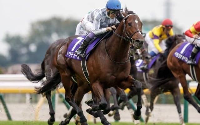 【ジャパンC予想オッズ】ドウデュースが予想1番人気