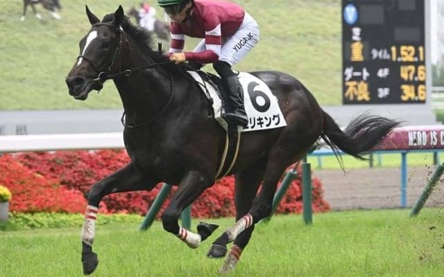【京都2歳S予想オッズ】エリキングが予想1番人気
