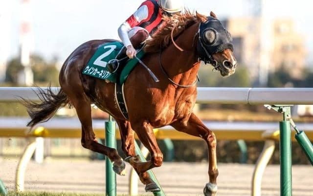 【京阪杯予想オッズ】ウインカーネリアンが予想1番人気
