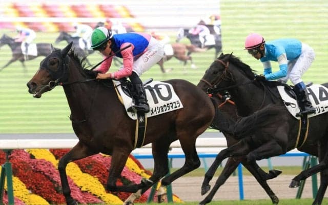 【新馬/京都5R】伏兵メイショウタマユラがデビューV