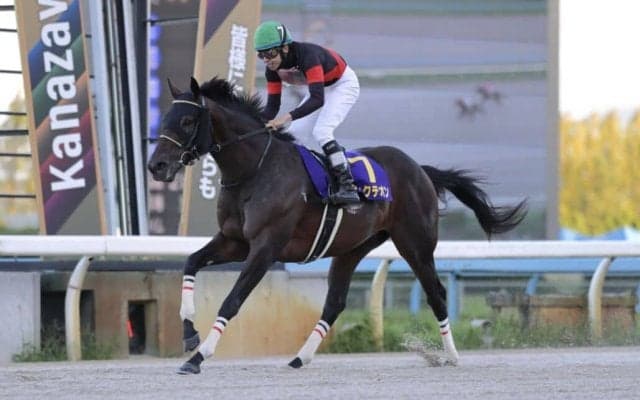 【浦和記念】ディクテオンは7枠8番へ