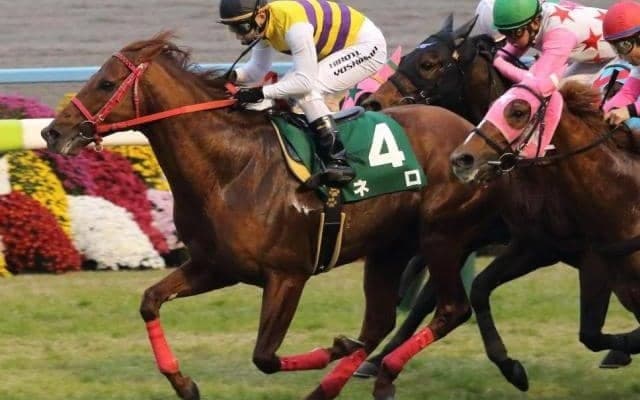 ジャパンカップの裏で荒れる重賞 過去10年で2度の100万超え馬券