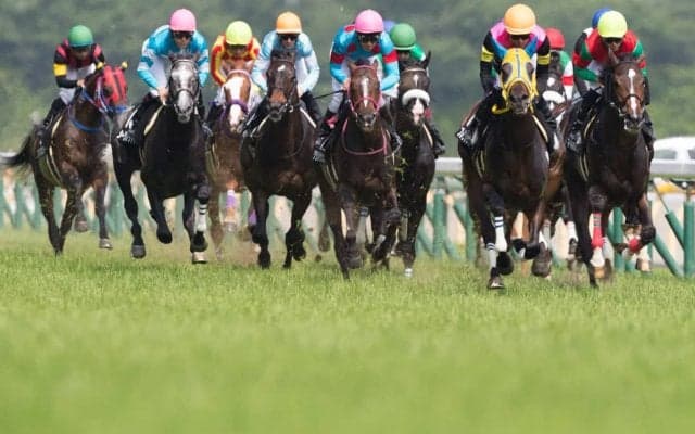 今秋のトレンド「穴馬激走」継続か　ドウデュースはJCで“前例なき連勝”に挑む【記録から読み解く秋GI展望】