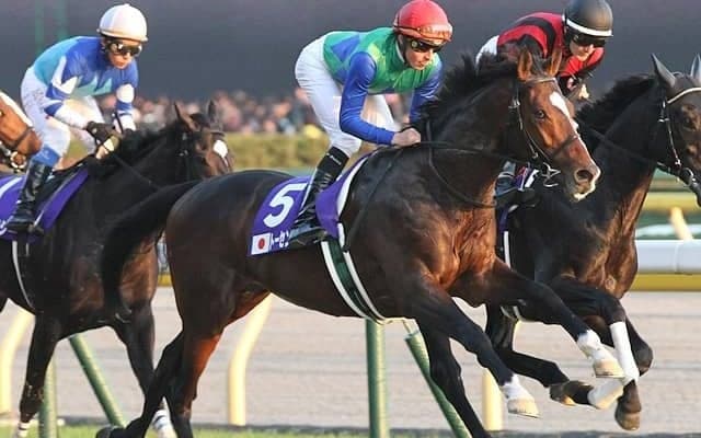 最高額でも32万4680円 ジャパンCの3連単配当トップ3を調べてみると