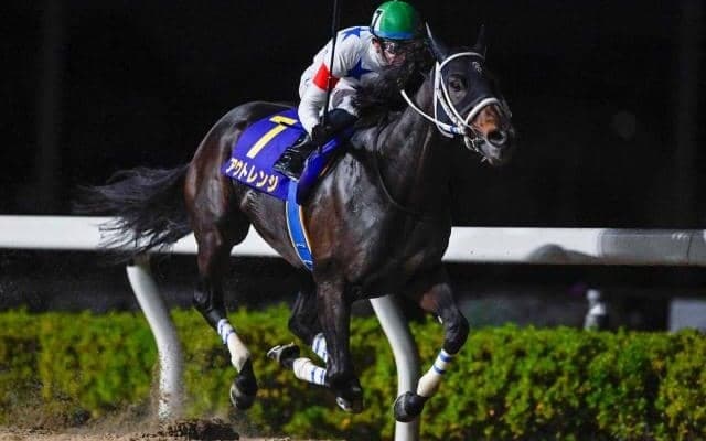 【浦和・浦和記念結果】アウトレンジが6馬身差圧勝で重賞初制覇！