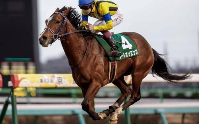 【ジャパンC予想】コース適性の高い実績馬が近年圧倒的 AIが挙げた妙味もありそうな一頭とは
