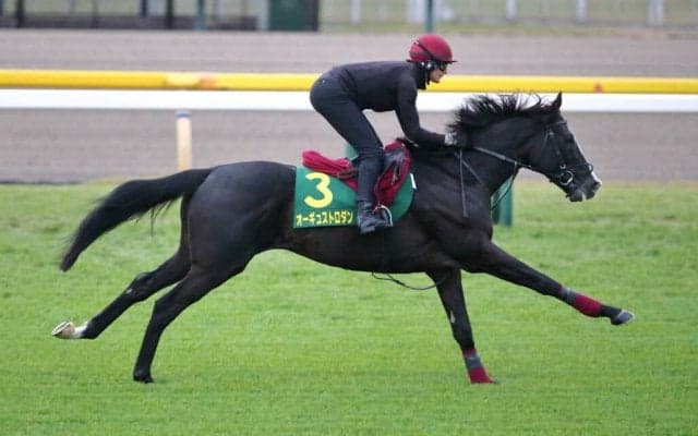【ジャパンカップ】オブライエン師「ぴったりの舞台」オーギュストロダンなど外国馬が東京コースで調整