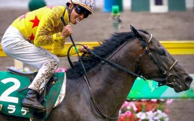 重賞3勝の実績を誇る8歳馬 ジャパンC史上初の記録に挑む