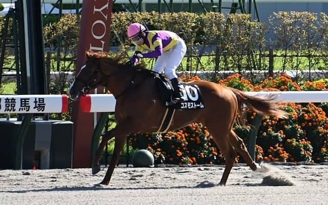 【園田・兵庫ジュニアGP注目馬】中央・地方ともに抜けた存在おらず 大混戦模様の2歳重賞