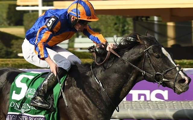 オーギュストロダンの引退式をジャパンカップ後に実施 JRAが発表