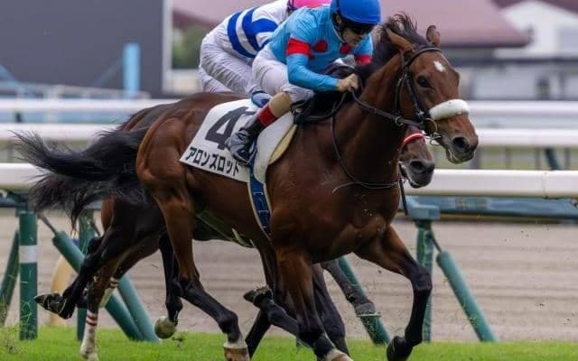 アーモンドアイ初仔アロンズロッド 距離延長＆ルメール騎手継続騎乗で待望の初勝利へ