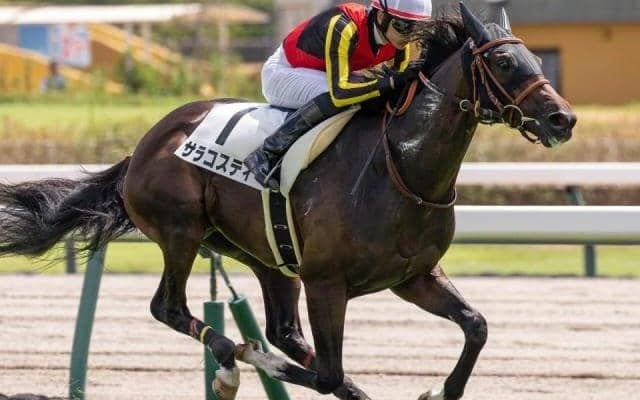 前走圧倒的な9馬身差V 良血馬がリベンジで重賞初制覇なるか