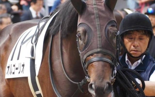潜在能力高い勝率100％の3歳馬 武豊騎手と無傷3連勝へ