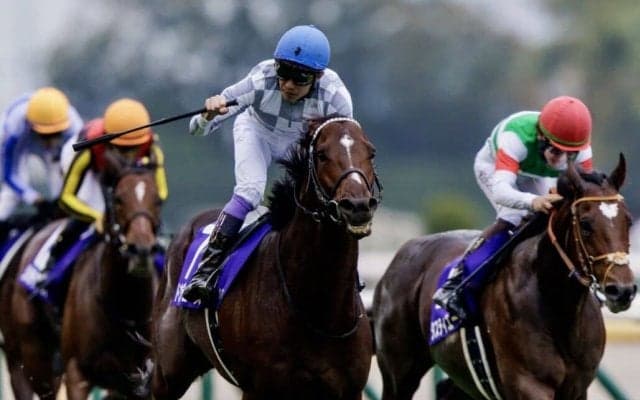 【武豊日記】ディープインパクトの傑作と戦う