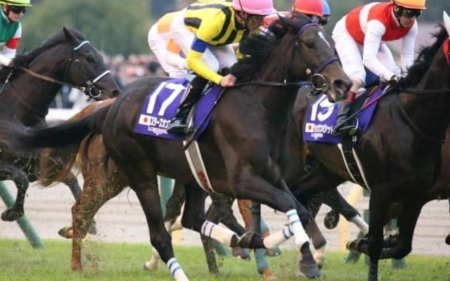 ジャパンCの気になるデータ 秋初戦の馬が勝ったら史上初