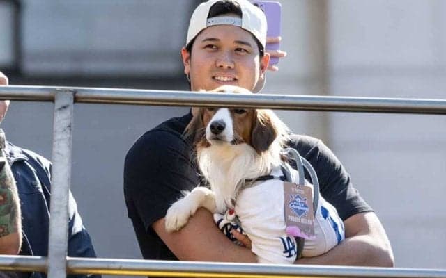 ド軍がデコピンに「MVP」贈呈　“ジョーク満載”…特別画像で感謝「拍手を」