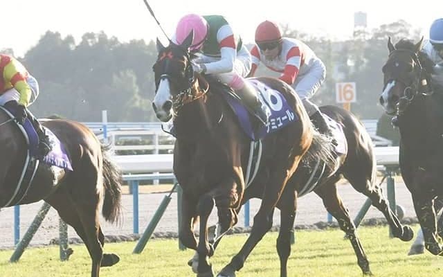 23年マイルCSなど重賞3勝のナミュールが登録抹消 ノーザンファームで繁殖入りへ