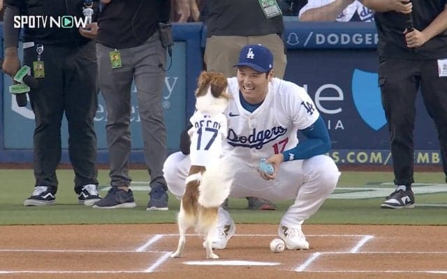 どうした！？ 大谷翔平に“想定外のハプニング”「どんな顔？」 デコピンに“異変”→まさかの行動…「可愛すぎ」「制御不能w」