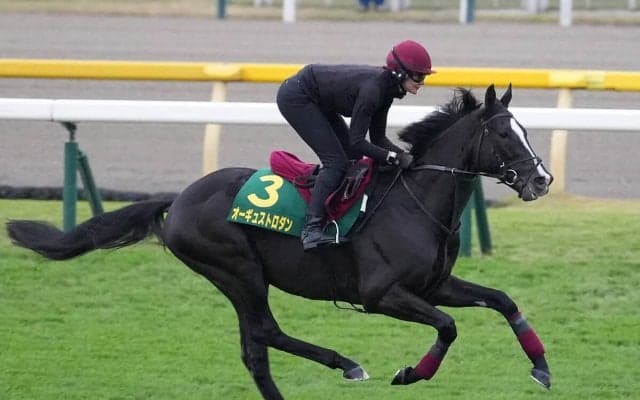 【競馬予想】ＧＩジャパンカップに挑む評判の外国馬--本気で勝ちに来たのはどの馬だ