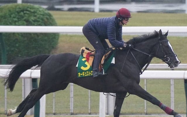 【競馬血統予想】ビッグネーム集結のジャパンカップで注目はディープインパクト産駒　出走する２頭の信頼度は？