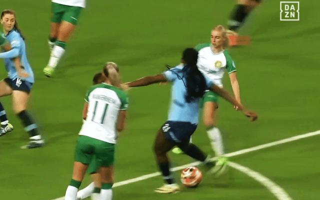 【話題沸騰】女子CLで“ミサイル級”の衝撃ゴール→長谷川唯が満面スマイルで祝福「怒りの一撃」「世界最高の女性ストライカー」「規格外」