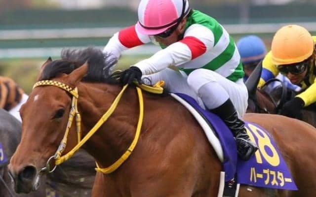 母は桜花賞馬のハープスター ヴァルチャースターが注目の初陣だ