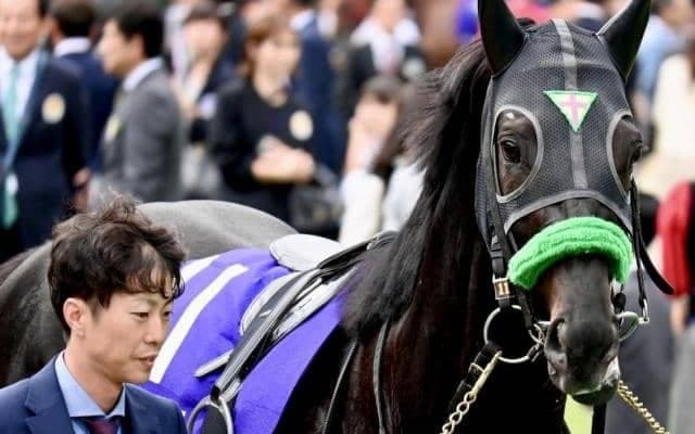 霜降り明星・粗品 ジャパンCはジャスティンパレスを信頼