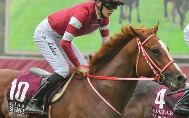 東京芝は内外フラット ジャパンCは「先団-中団優勢」とみてシンエンペラー