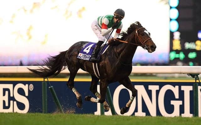 【ジャパンC近10年の傾向】10万超えの大波乱無し 特に近年は堅い決着続く