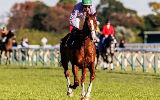 【キャピタルS】フランス馬・ルノマドは13着敗退…ウォーターリヒトがV