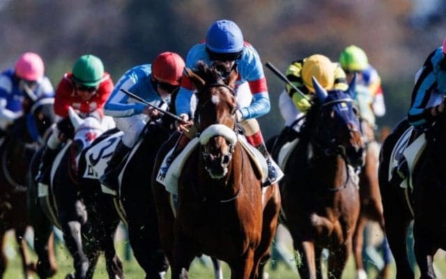 【東京3R】良血アロンズロッドは2着まで…アーモンドアイの仔