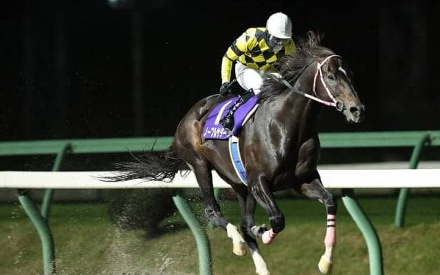 【岩手・北上川大賞典】古豪ノーブルサターンなど11頭が参戦